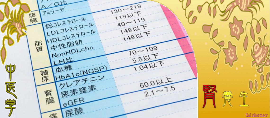 腎・対応（「精」貯蔵-）