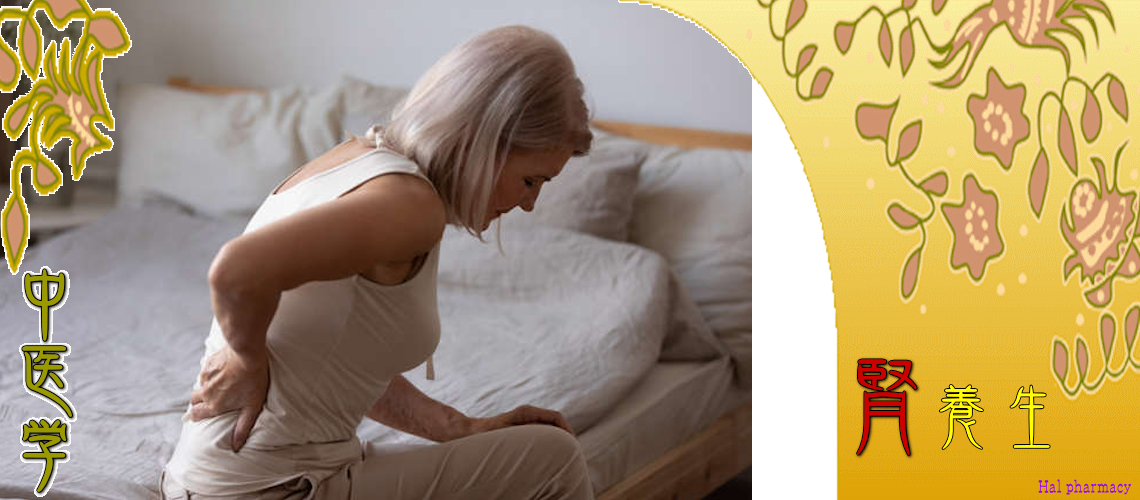 腎・対応（骨・脳・髪-）