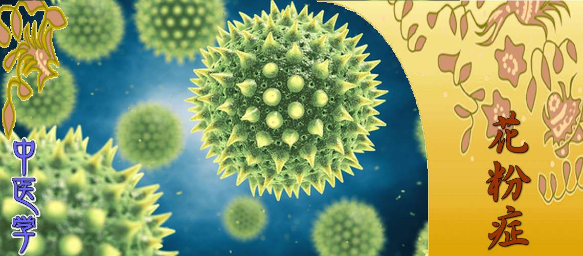 花粉症（寛解期（根本療法）-肺脾両虚）