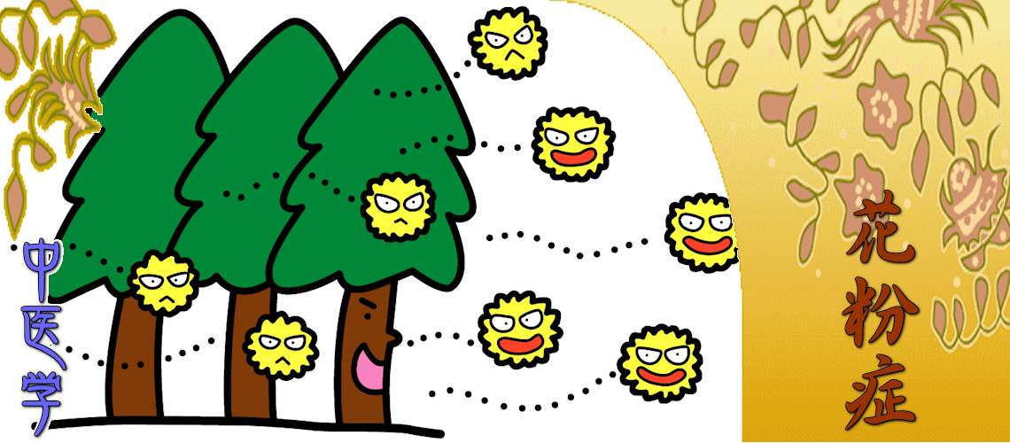 花粉症（寛解期（根本療法）-肺脾両虚）