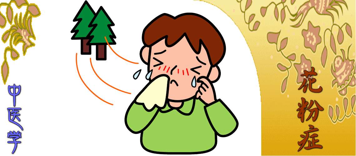 花粉症（寛解期（根本療法）-肺脾両虚）