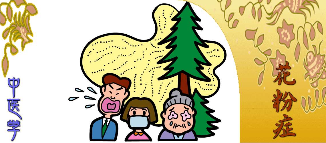 花粉症（発作期（対症療法）-肺熱（表熱））