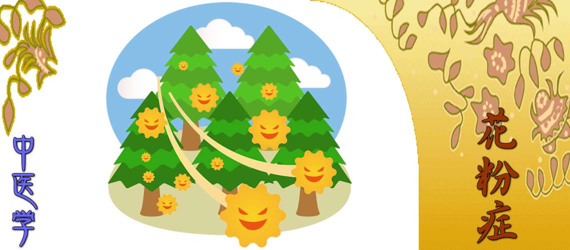 花粉症（発作期（対症療法）-肺寒（表寒））