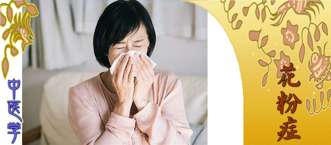 花粉症（寛解期（根本療法）-肺脾両虚）