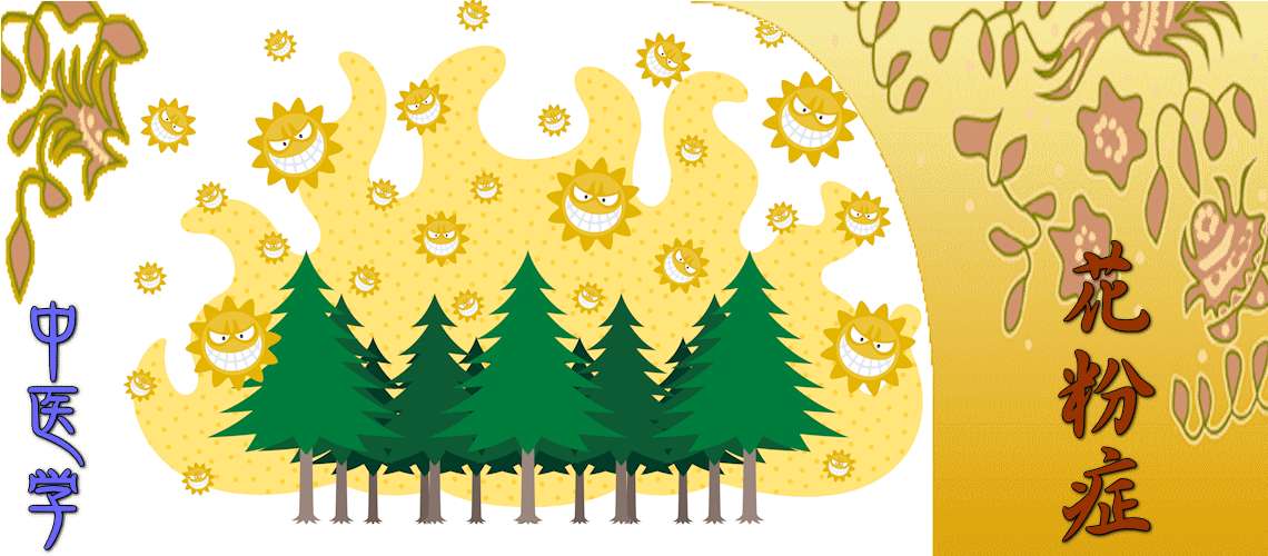 花粉症（発作期（対症療法）-湿邪）