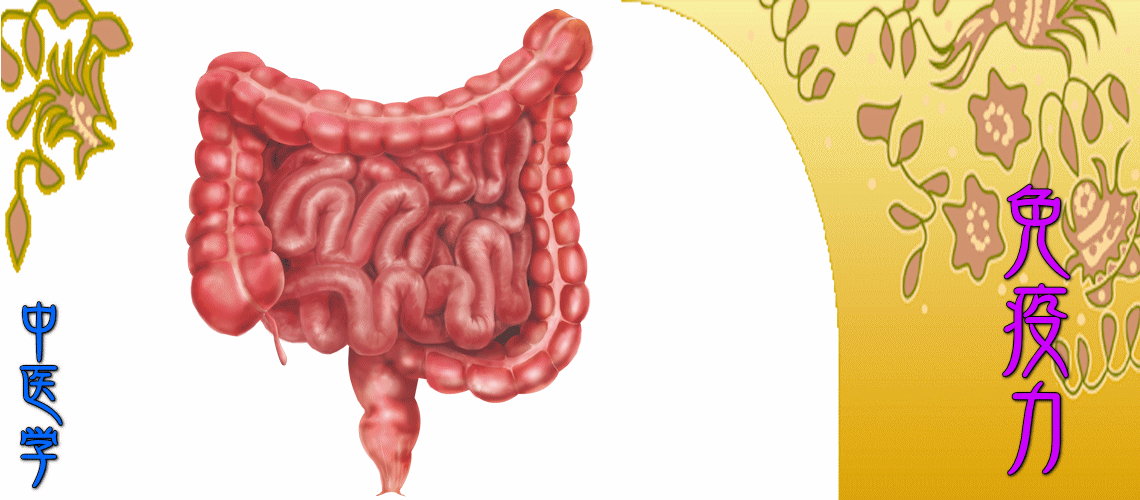 『免疫力』強化対応（予防法-『肺』強化）