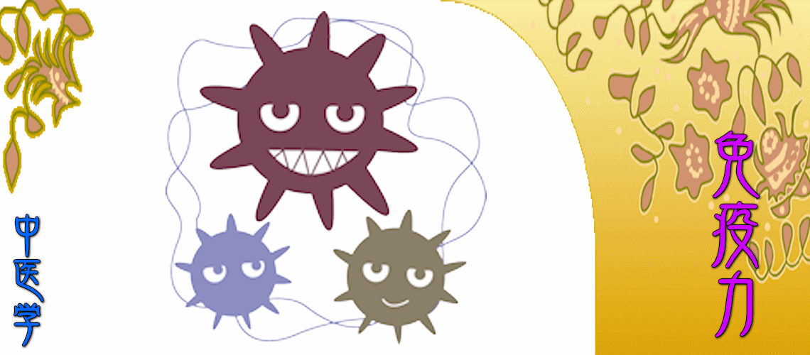 『免疫力』強化対応（予防法-『肺』強化）