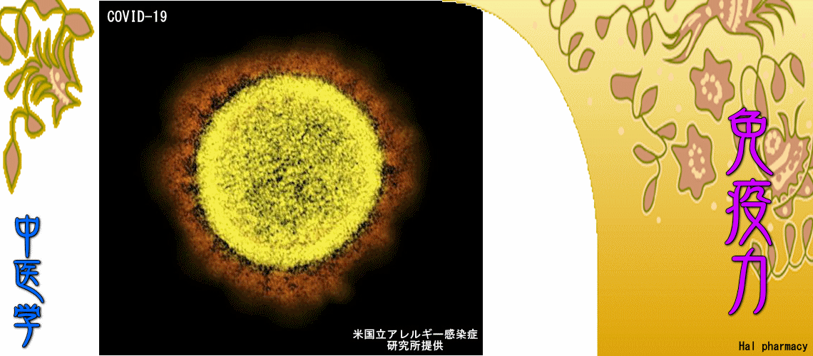 『免疫力』強化対応（Top-）