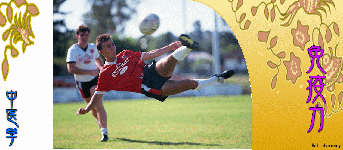 『免疫力』強化対応（初期症状の対処-）