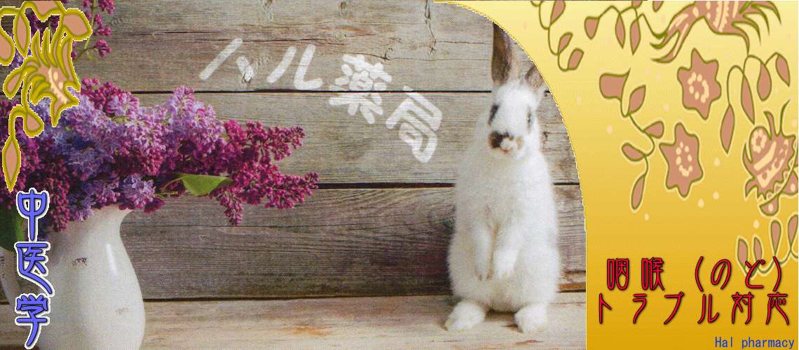 「咽喉」トラブル（風熱-）