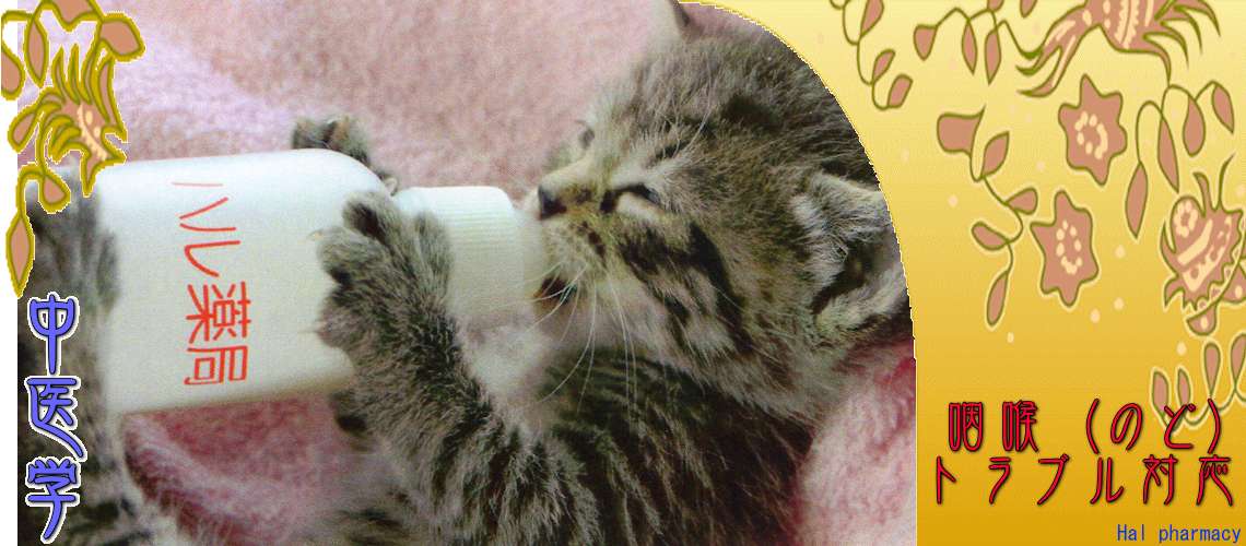 「咽喉」トラブル（陰虚-）