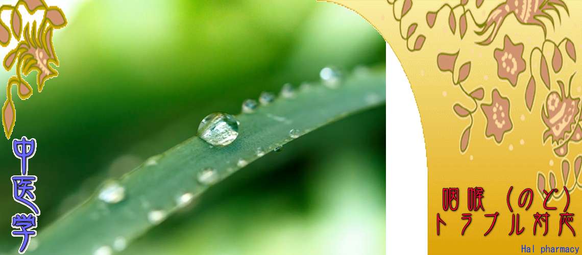 「咽喉」トラブル（湿熱-）