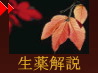 生薬解説へ 生薬解説へ