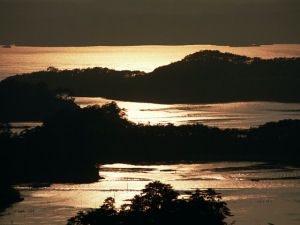 ���E�@�̊���