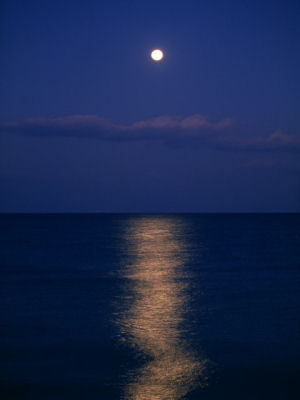 �������Ɂi�ڎ��j