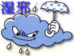 湿邪による痺証