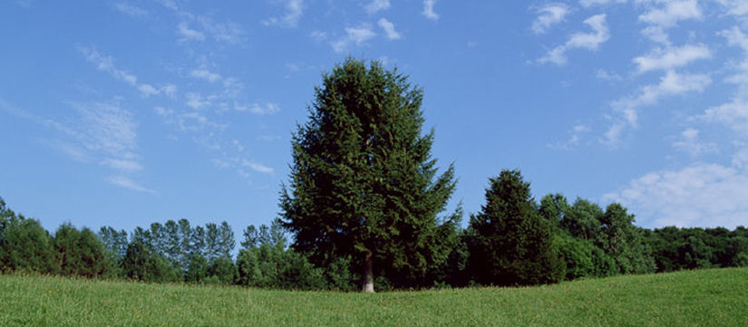 �x�B������