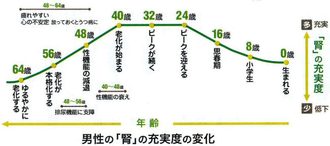 男性の「腎」の充実度の変化