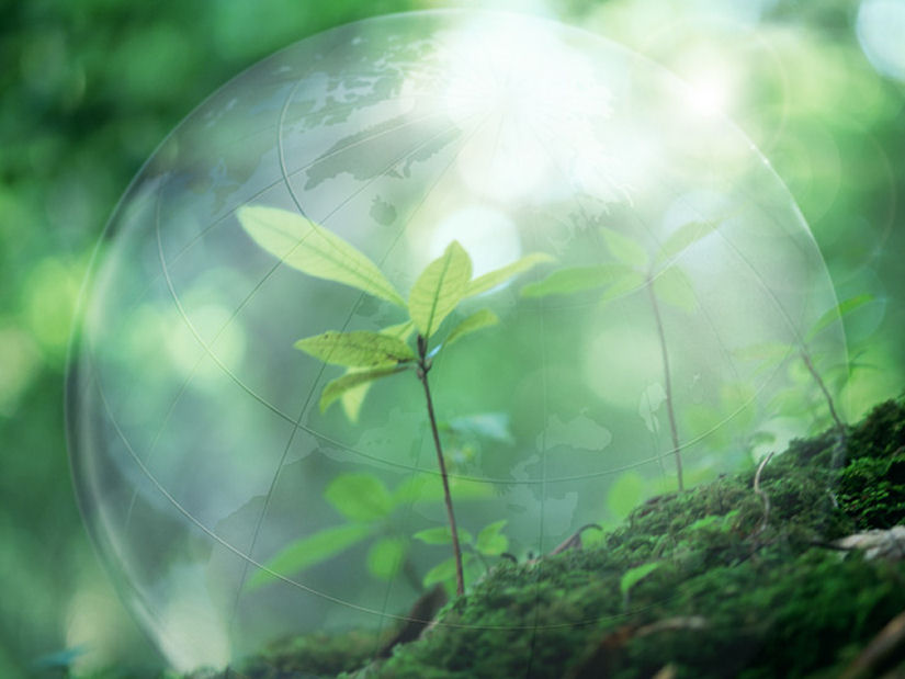 �֔�C���i���̊����j