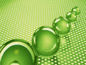 �������ǁi�ڎ��j