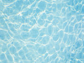 夏の脳養生（目次）