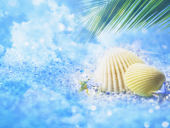 「陰虚」（水分不足）