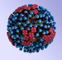 インフルエンザ