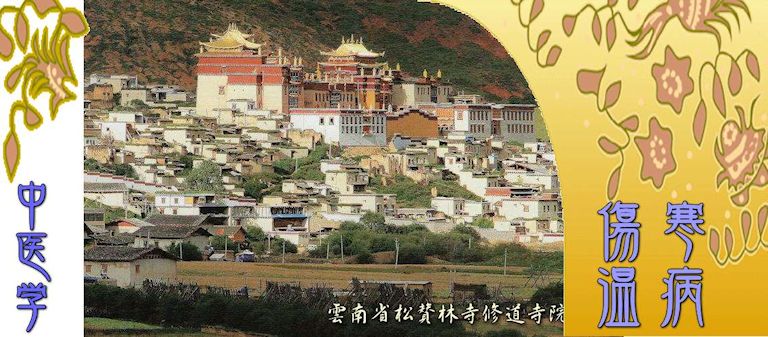 傷寒と温病（Top-）