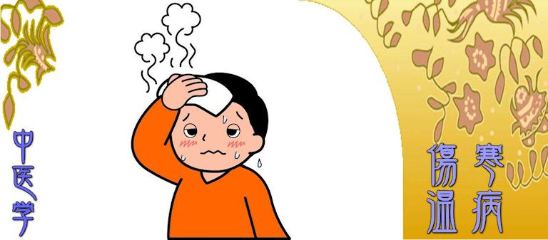 傷寒と温病（温病-気分証）