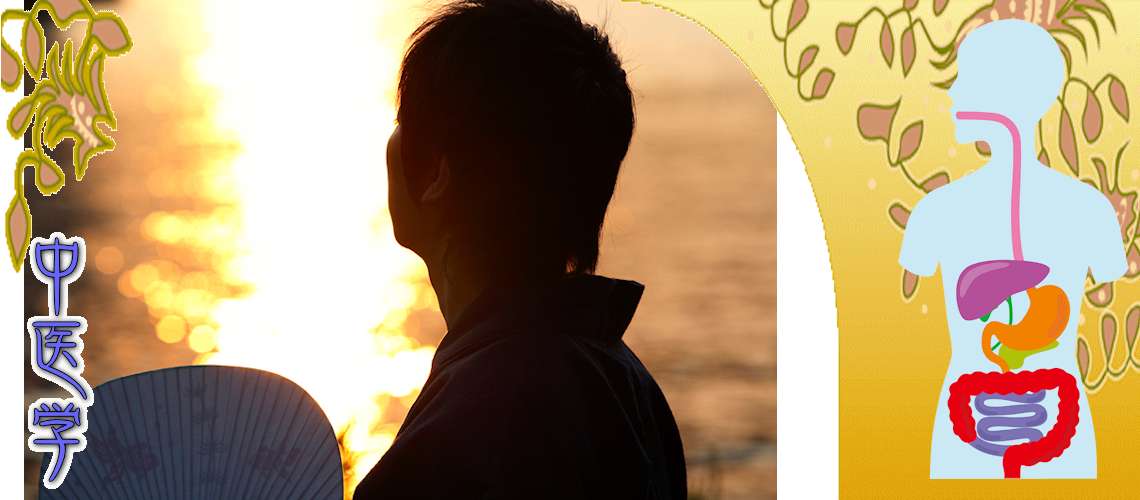夏の胃腸障害（Top-）