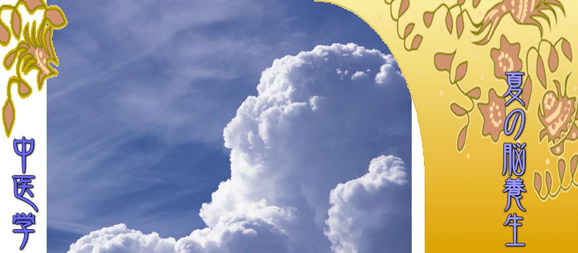 夏の脳養生（Top-）