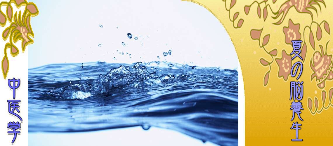 夏の脳養生（Top-）