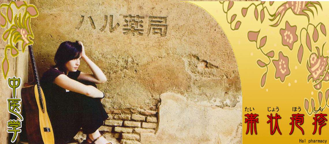 帯状疱疹（対処-熱実証）