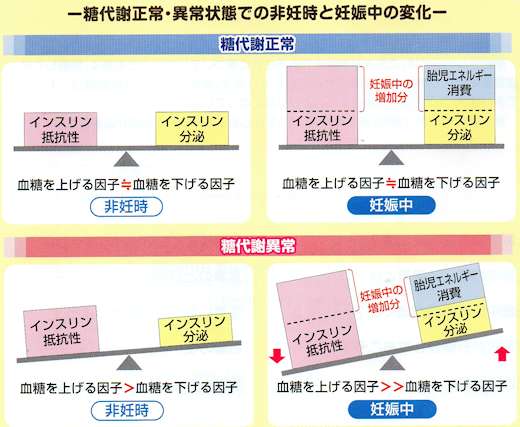 妊娠中の血糖の変化は？