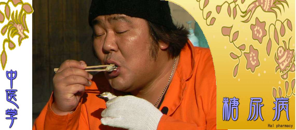 糖尿病（陰陽両虚型-）
