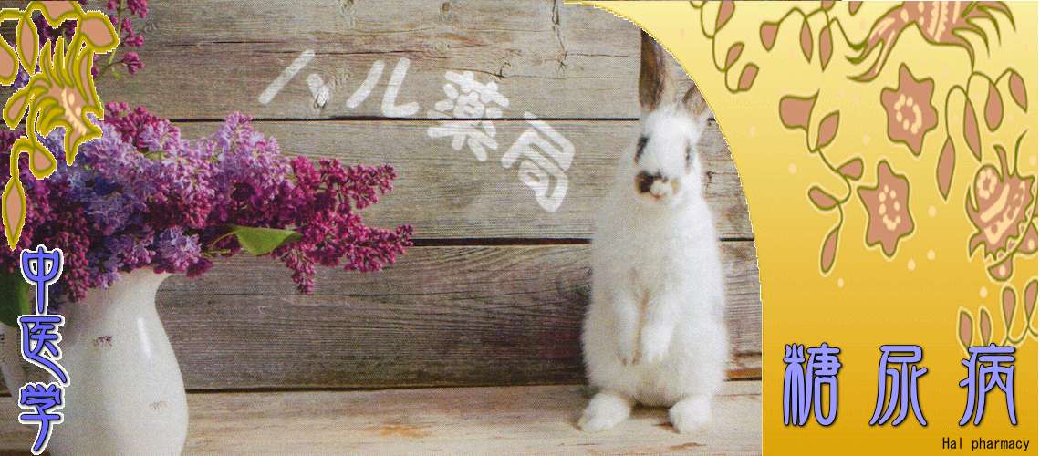 糖尿病（陰虚燥熱型-中消（脾胃陰虚））