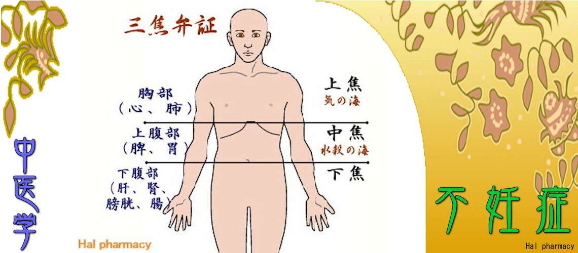 女性不妊・妊活（男性不妊-）