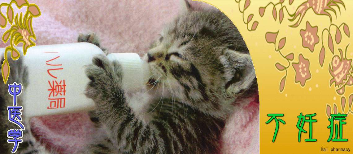 女性不妊・妊活（中医学による妊活-）