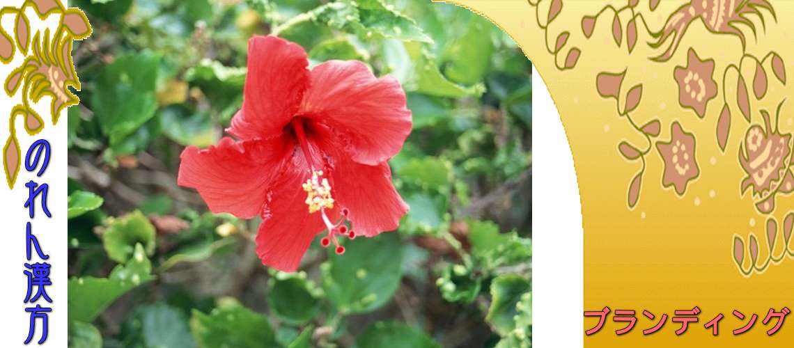 ブランディング・コンセプト