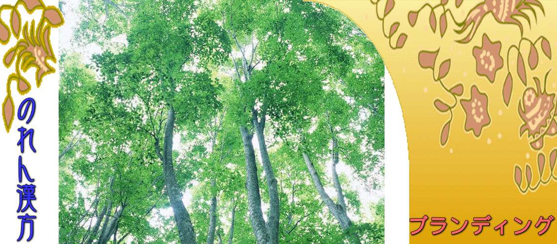 ブランディング・コンセプト