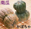 かぼちゃ（南瓜）