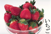 イチゴ（苺）