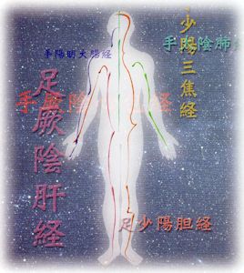 体質タイプごとのツボ(経穴)紹介です。 ツボ(経穴)